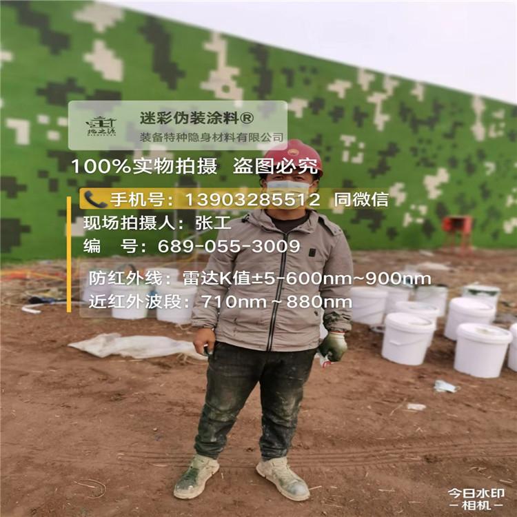 乐东​包括外墙、护坡、水泥地面建筑物的迷彩喷涂